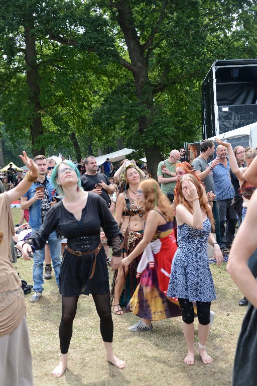 ../Images/Zondag Castlefest 2015 029.jpg